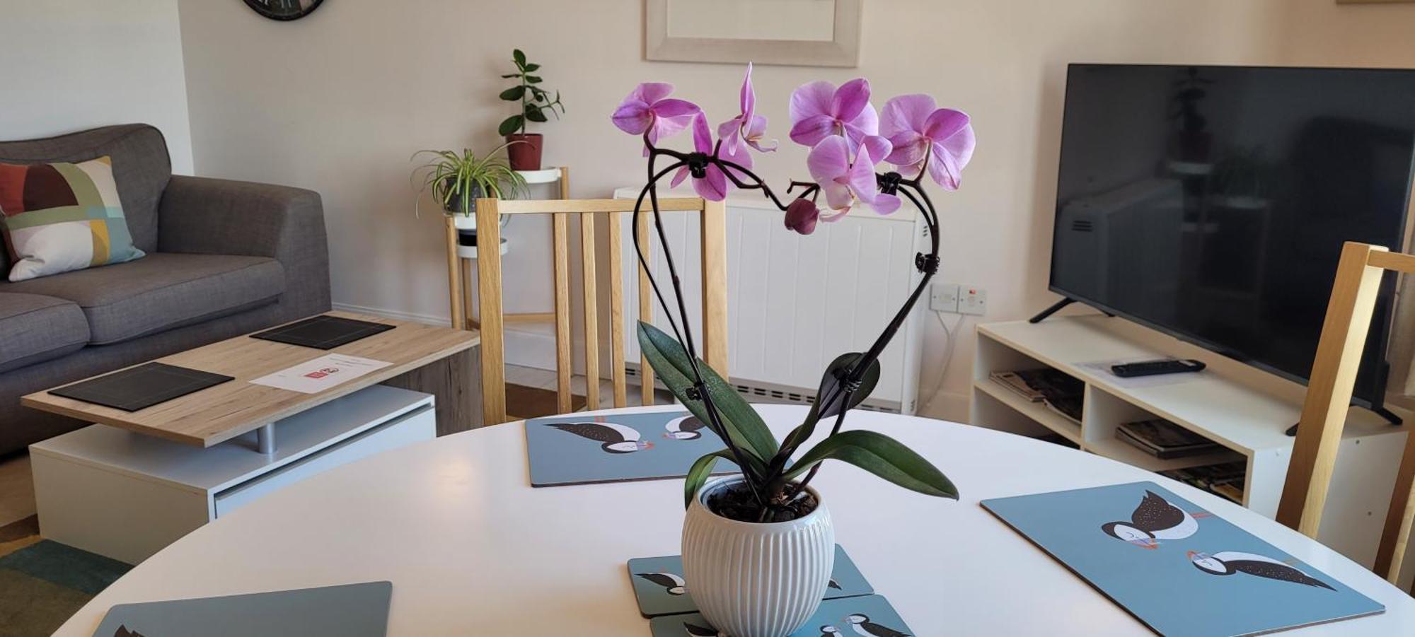 Heart Of Inverness-City Apartment ภายนอก รูปภาพ